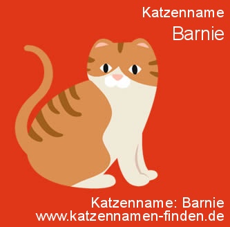 Katzenname Barnie - Katzennamen finden