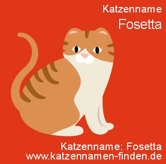 Katzenname Fosetta - Katzennamen finden