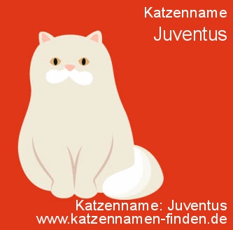 Katzenname Juventus - Katzennamen finden