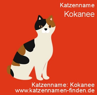 Katzenname Kokanee - Katzennamen finden