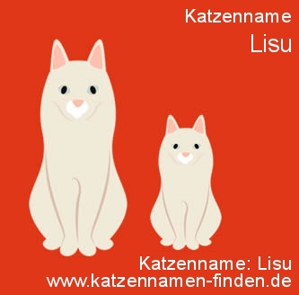 Katzenname Lisu - Katzennamen finden