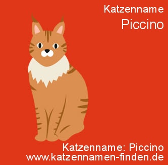 Katzenname Piccino Kater Name