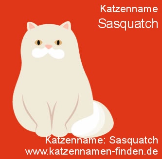 Katzenname Sasquatch Kater Name