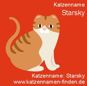 Katzenname Starsky - Katzennamen finden
