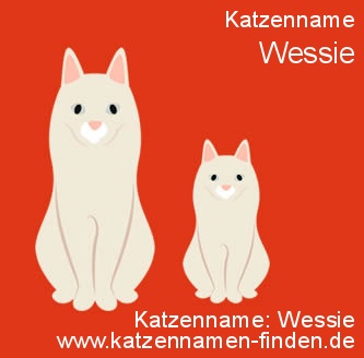Katzenname Wessie - Katzennamen finden